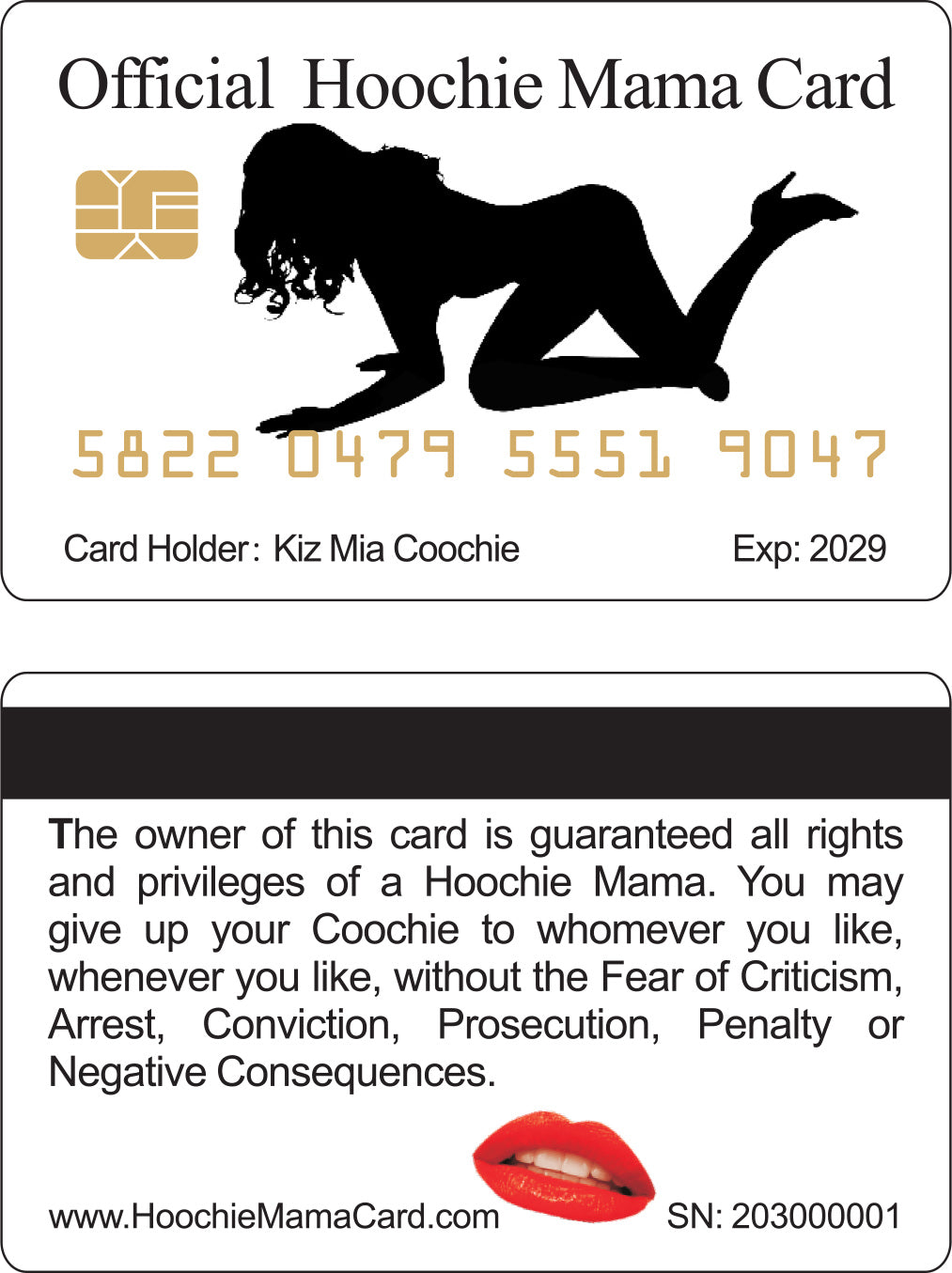 Official Pimp Daddy and Hoochie Mama Card™ (4 PACK) Free Shipping