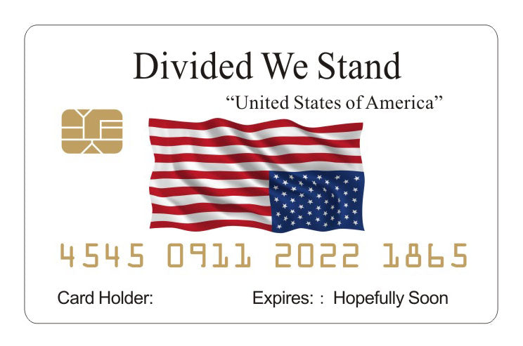 Official Divided We Stand Card™ 8 Pack (Free Shipping) – Baby Mama Card ...